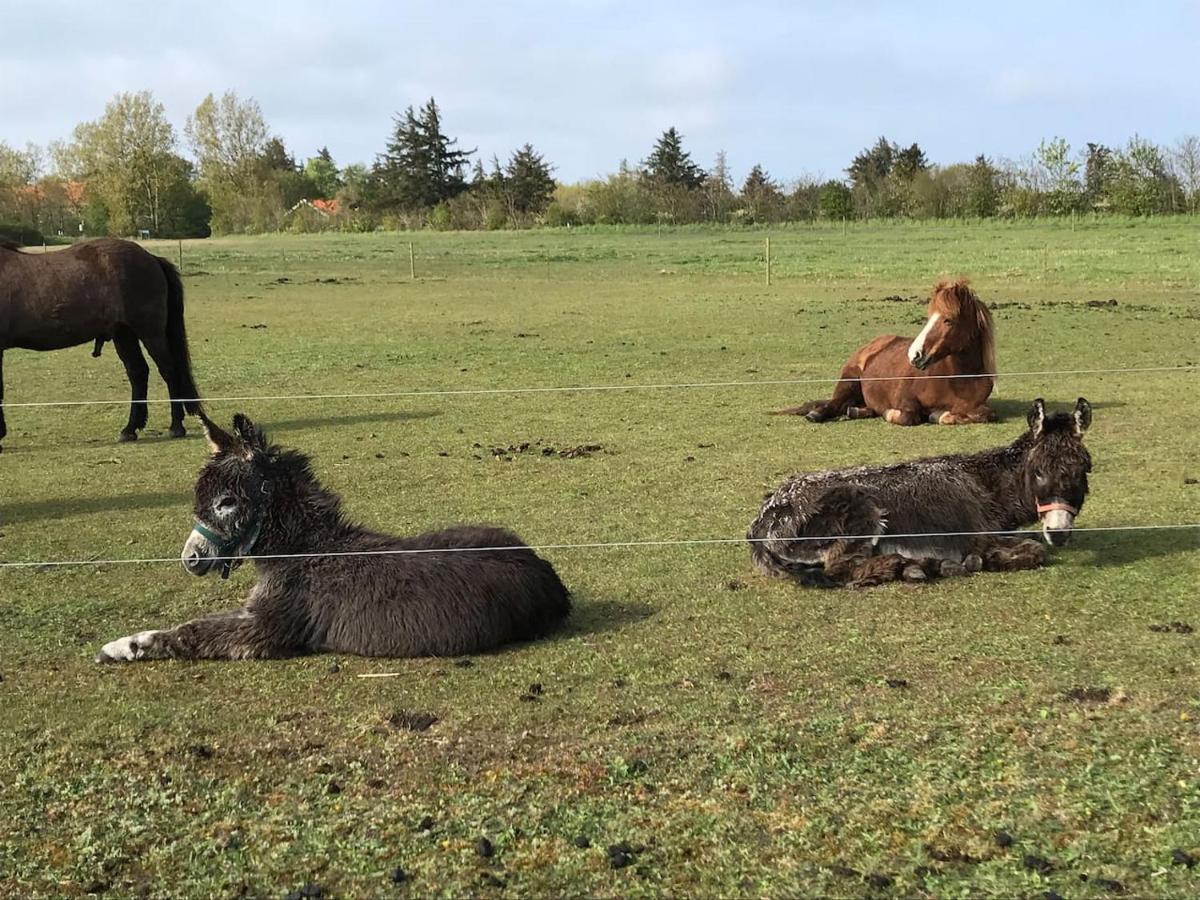 Bb-Vadehavet Ferielejlighed Til 6 Personer Ved Nationalpark Vadehavet Ribe Extérieur photo